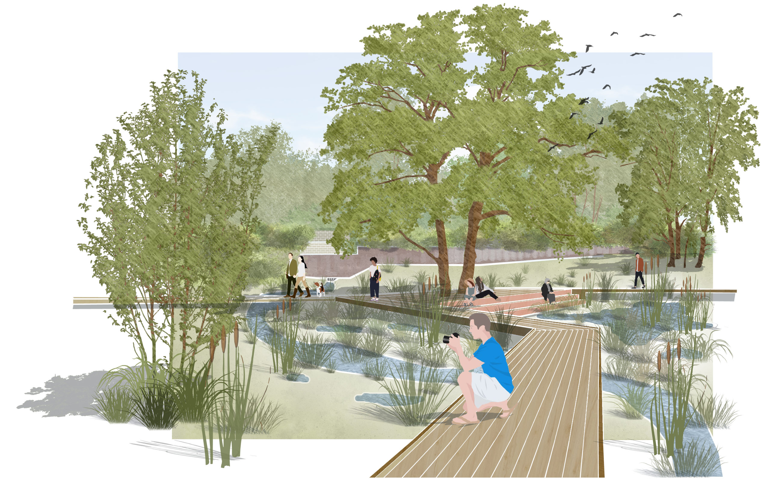LJN - Paysagiste concepteur - Rhône - Marcy-l'Etoile - Parc du Vallon des Pierres Rouges - Croquiszone humide - Coulée verte - Pédagogie - Interprétation - Renaturation de cour d'eau - Aire de jeux - Parc - Biodiversité - Ilot de fraicheur