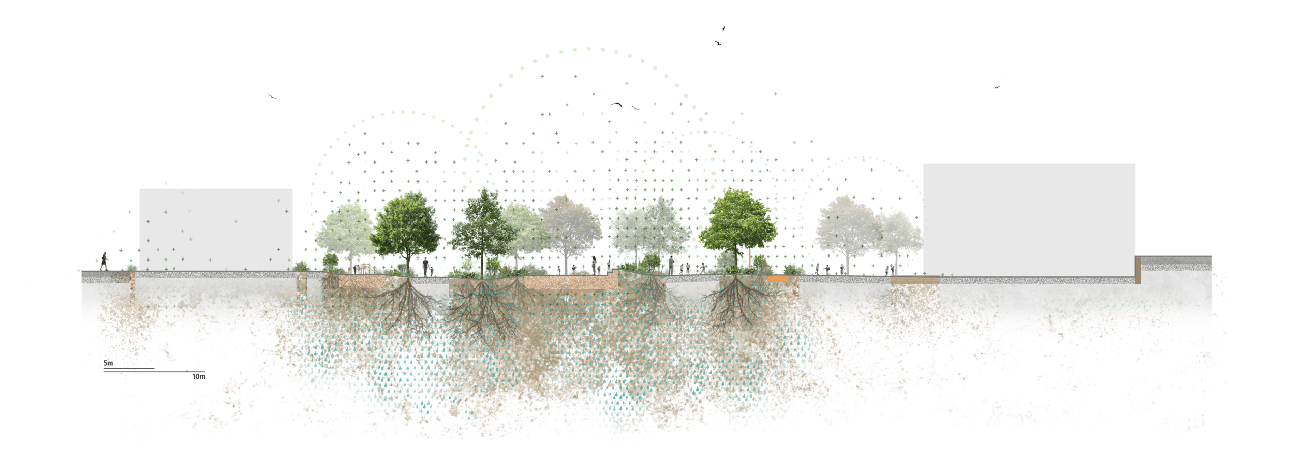 LJN - Rhône - Cailloux sur Fontaine - Groupe scolaire - ZAC Favret