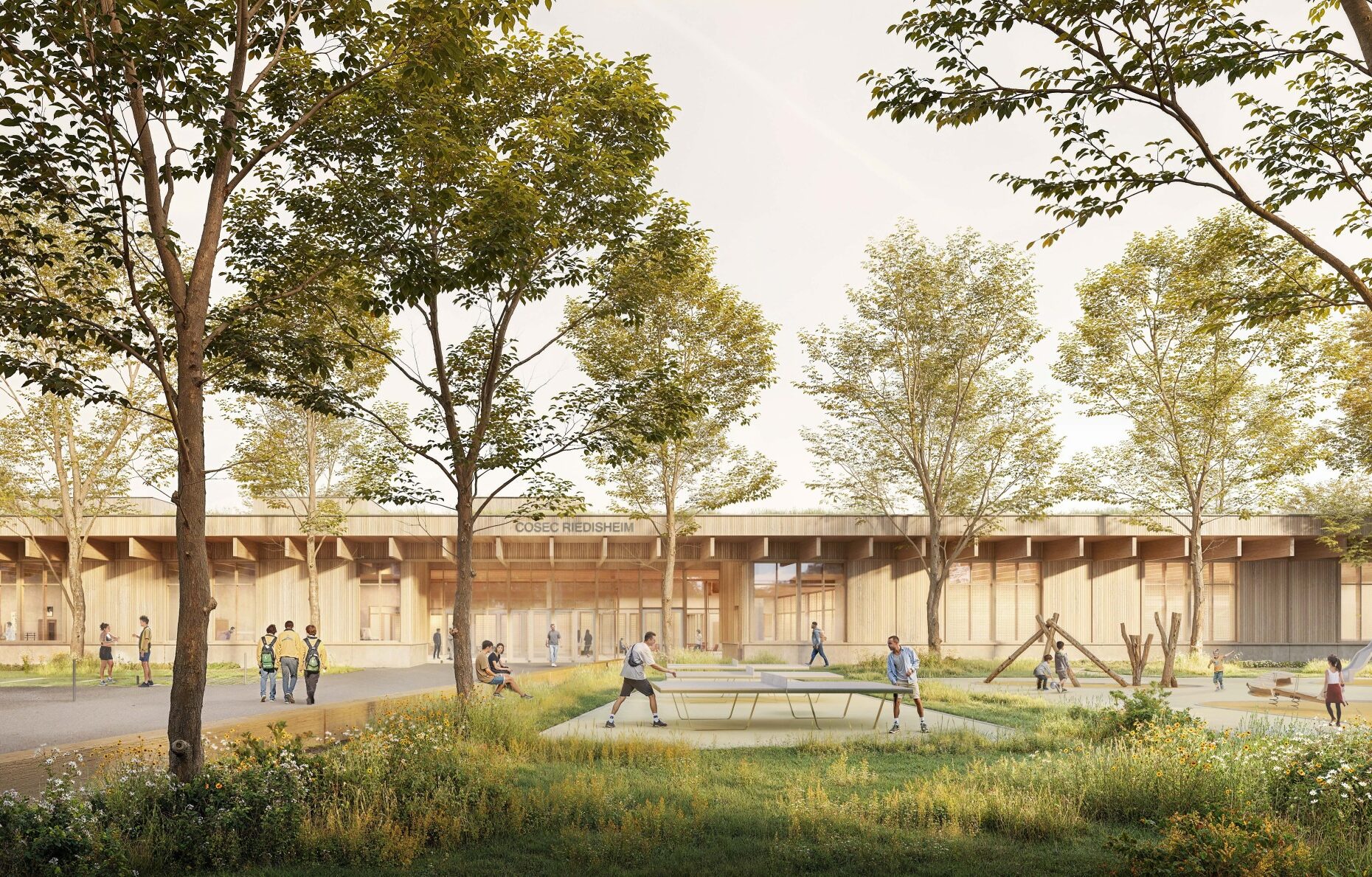 LJN - Haut-Rhin - Reidischeim - COSEC